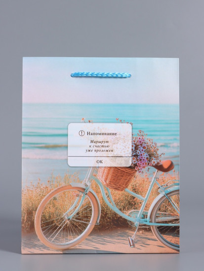 Пакет подарочный «Путь к мечте»