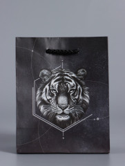 Пакет подарочный «Сила характера» - Фото 1