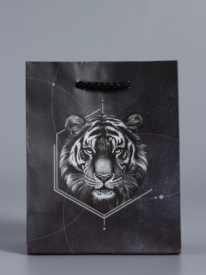 Пакет подарочный «Сила характера»