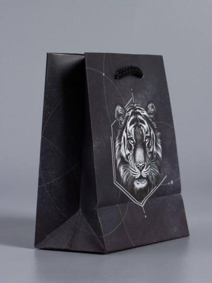 Пакет подарочный «Сила характера»