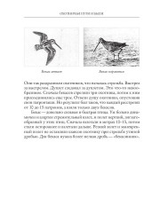 Охотничьи пути и были - Фото 10