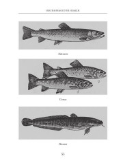 Охотничьи пути и были - Фото 12