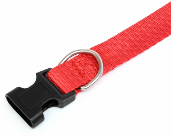 Ошейник для собак