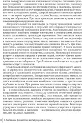 Путеводитель по головокружениям - Фото 3