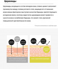 Восстанавливающая сыворотка с церамидами и пантенолом «Cera-Pantenol Intensive Ampoule» - Фото 7