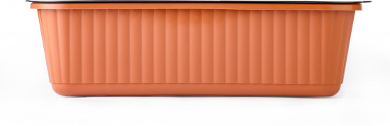 Лоток для выращивания зелёного лука