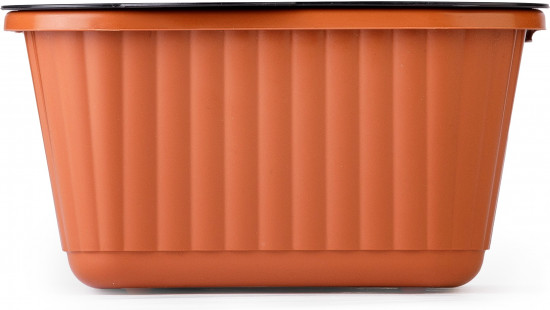 Лоток для выращивания зелёного лука