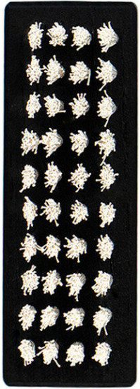 Щётка для кроссовок