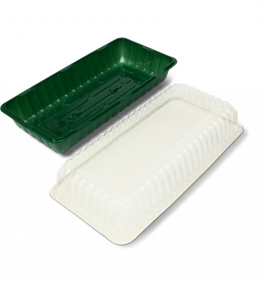 Мини-парник для рассады