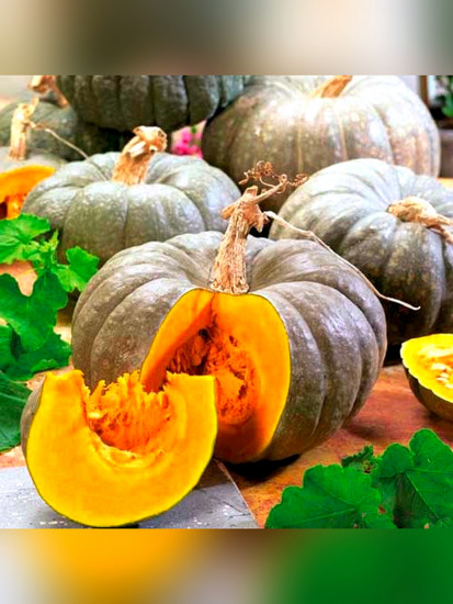 Семена тыквы «Лечебная»