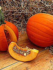 Семена тыквы крупноплодной «Коннектикут филд» - Фото 2