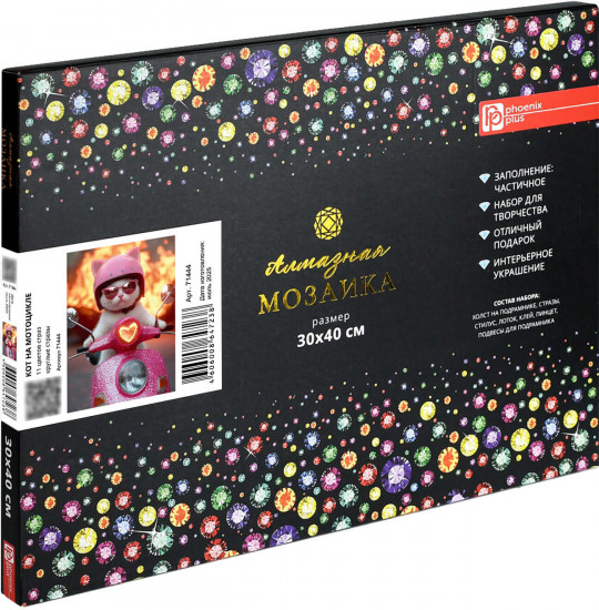 Алмазная мозаика с частичной выкладкой «Кот на мотоцикле»