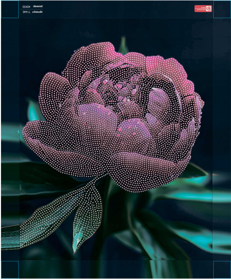 Алмазная мозаика с частичной выкладкой «Пион»