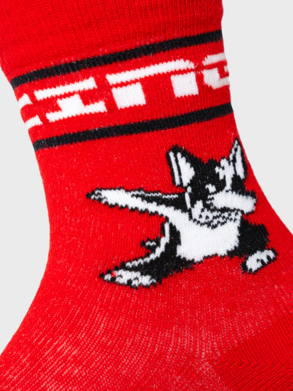 Комплект носков для мальчиков