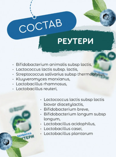 Полезная партия закваска для йогурта Реутери