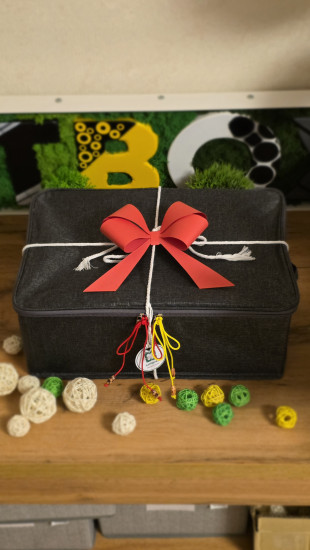 Подарочный набор «PaintBoxx»