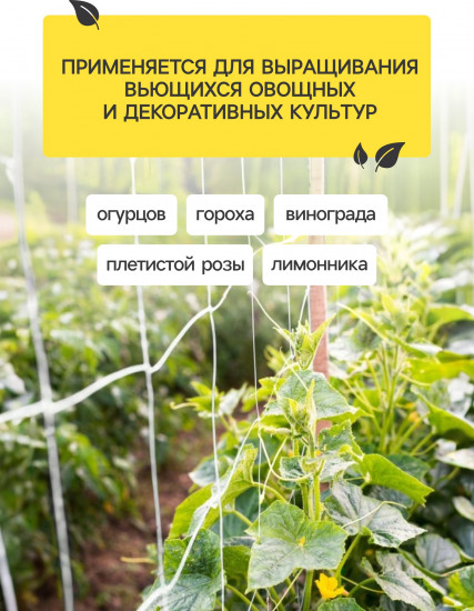 Сетка садовая для огурцов
