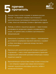 Котики и кошки. Избранная лирика с иллюстрациями - Фото 1