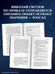 Красавица - Фото 4