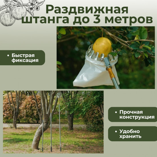 Плодосъёмник