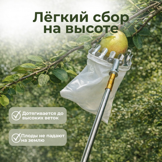 Плодосъёмник