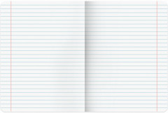 Набор предметных тетрадей - Фото 9