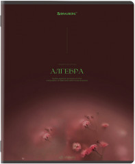 Набор предметных тетрадей - Фото 4