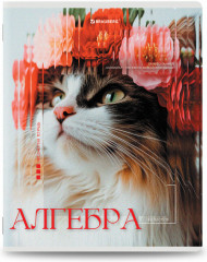 Набор предметных тетрадей - Фото 7