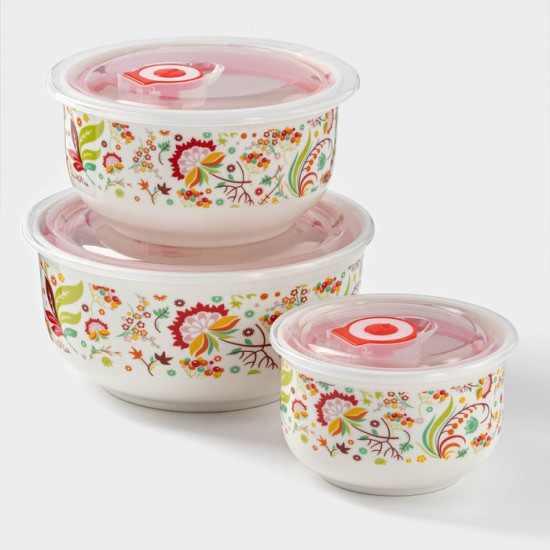 Набор салатников с вакуумными крышками «Ирена»