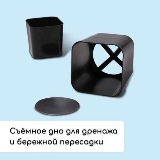 Набор для рассады