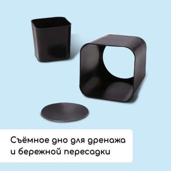 Набор для рассады