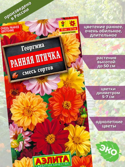 Семена георгинов «Ранняя птичка махровая»