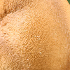 Фигурка «Зайчиха с зайчонком» - Фото 6