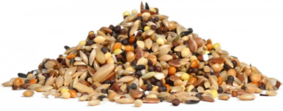 Корм для канареек «Основной рацион»