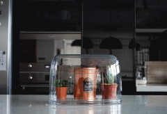 Контейнер с мерной ложкой «Lucky Mouse» - Фото 5