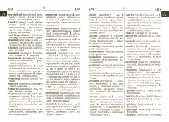 Современный школьный немецко-русский русско-немецкий словарь. 40 000 слов и словосочетаний - Фото 2