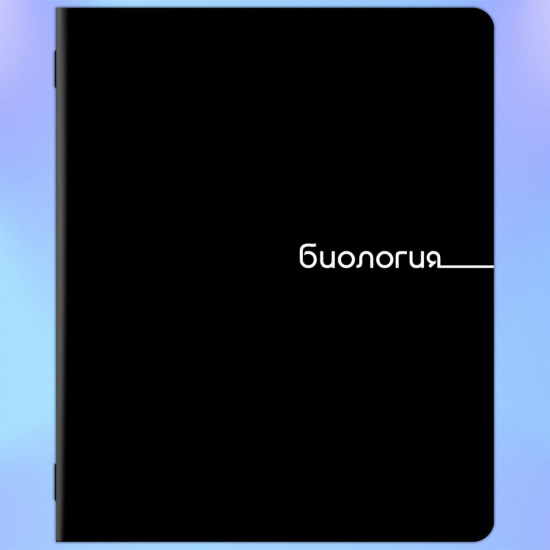 Набор предметных тетрадей