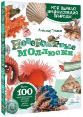 Моллюски, кораллы, морские звёзды, морские ежи - Фото 2