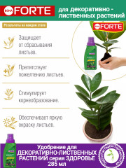 Удобрение для декоративно-лиственных растений - Фото 2