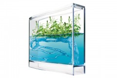 Antquarium super - Фото 1