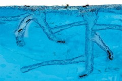 Antquarium super - Фото 2