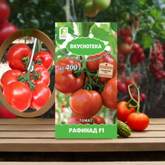 Семена томата «Рафинад F1» - Фото 1