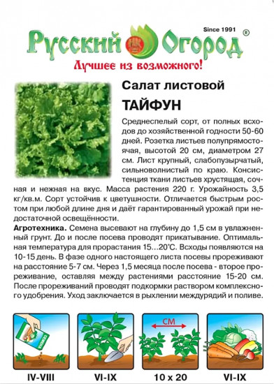 Семена салата листового «Тайфун»
