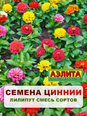 Семена циннии низкорослой «Лилипут смесь» - Фото 1