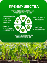 Микориза - Фото 1