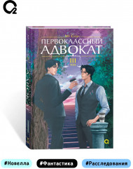 Первоклассный адвокат. Том 3 - Фото 6