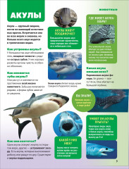 Энциклопедия обо всём. 850 вопросов и ответов - Фото 9