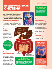 Энциклопедия обо всём. 850 вопросов и ответов - Фото 12