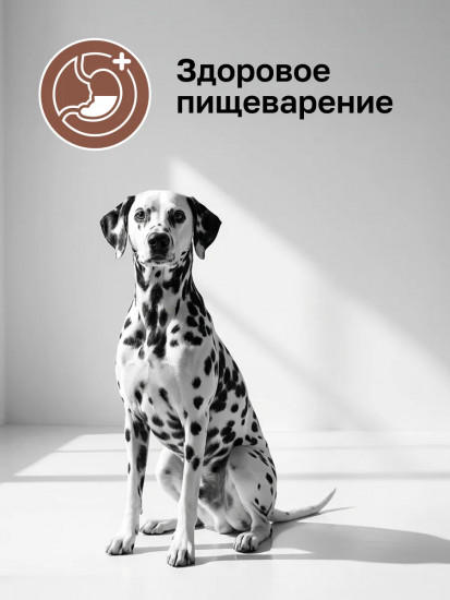 Корм для собак «Gastrointestinal»