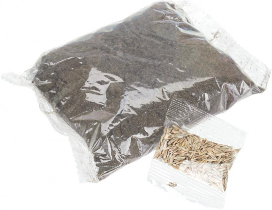 Набор для опытов по выращиванию растений «Террариум. Динозавр»